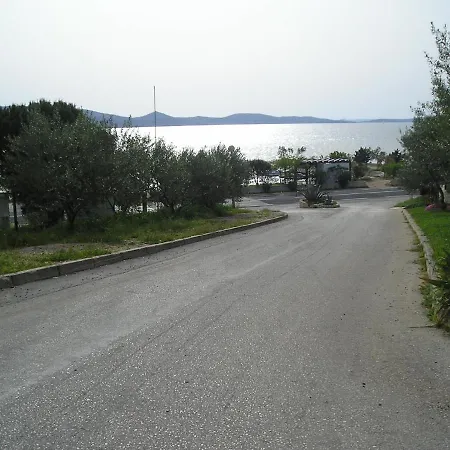 Jele Ii